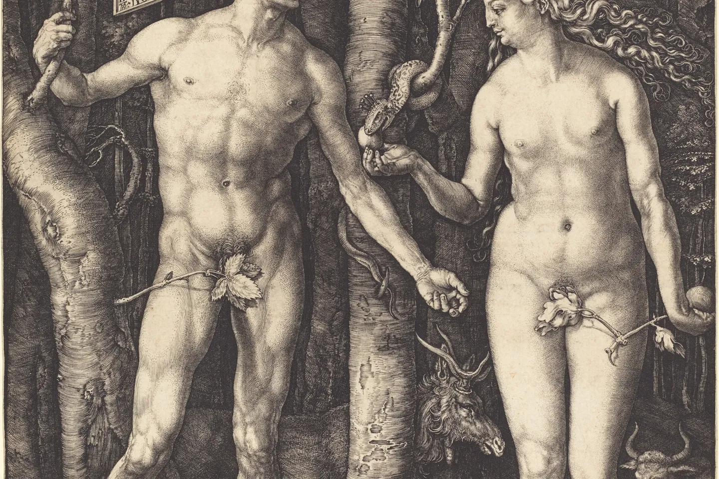 Adam and Eve by Albrecht Dürer, 1504. The cartouche reads ALBERT DVRER NORICVS FACIEBAT 1504.