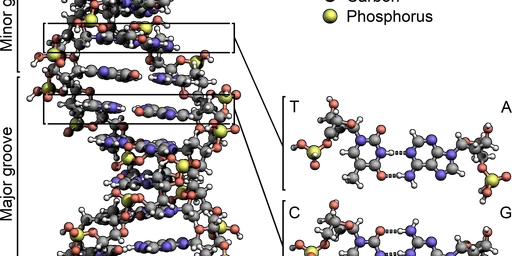 Blockchain / DNA tagging