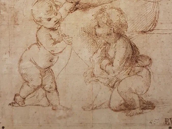 An Analysis of Raphael's Preparatory Drawing for La Belle Jardinière