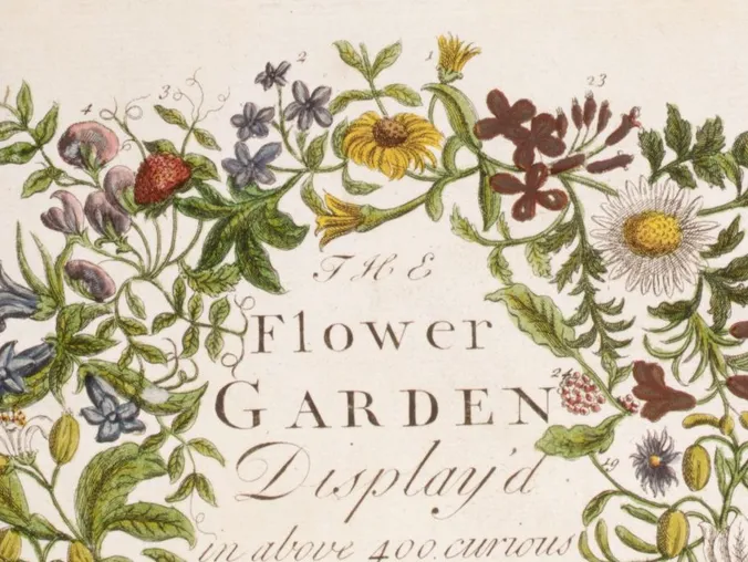 The Sales Pitch in the Bouquet: How a Seed Catalogue Revolutionized Taste