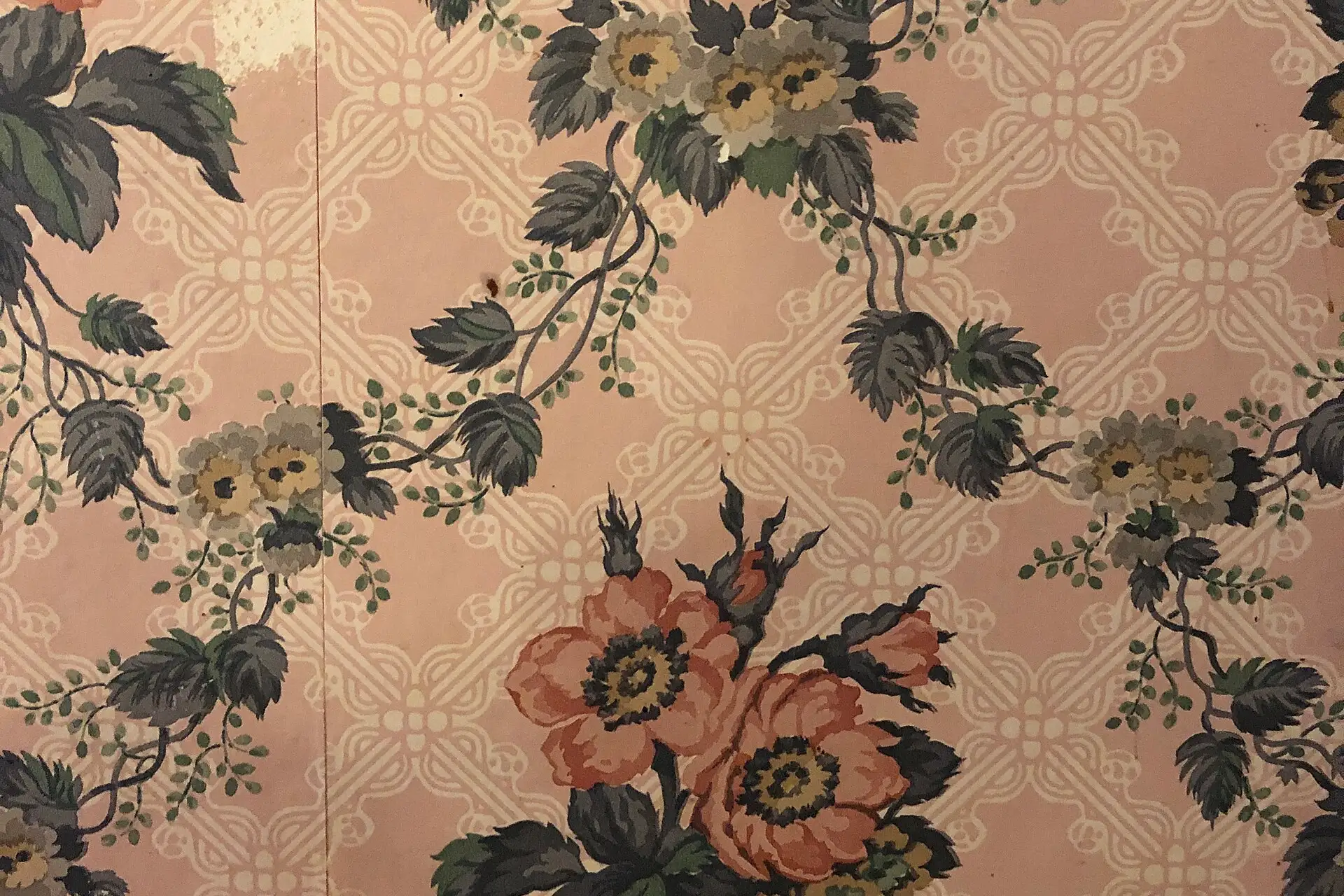 Washoe House - Stierch - June 2019 03