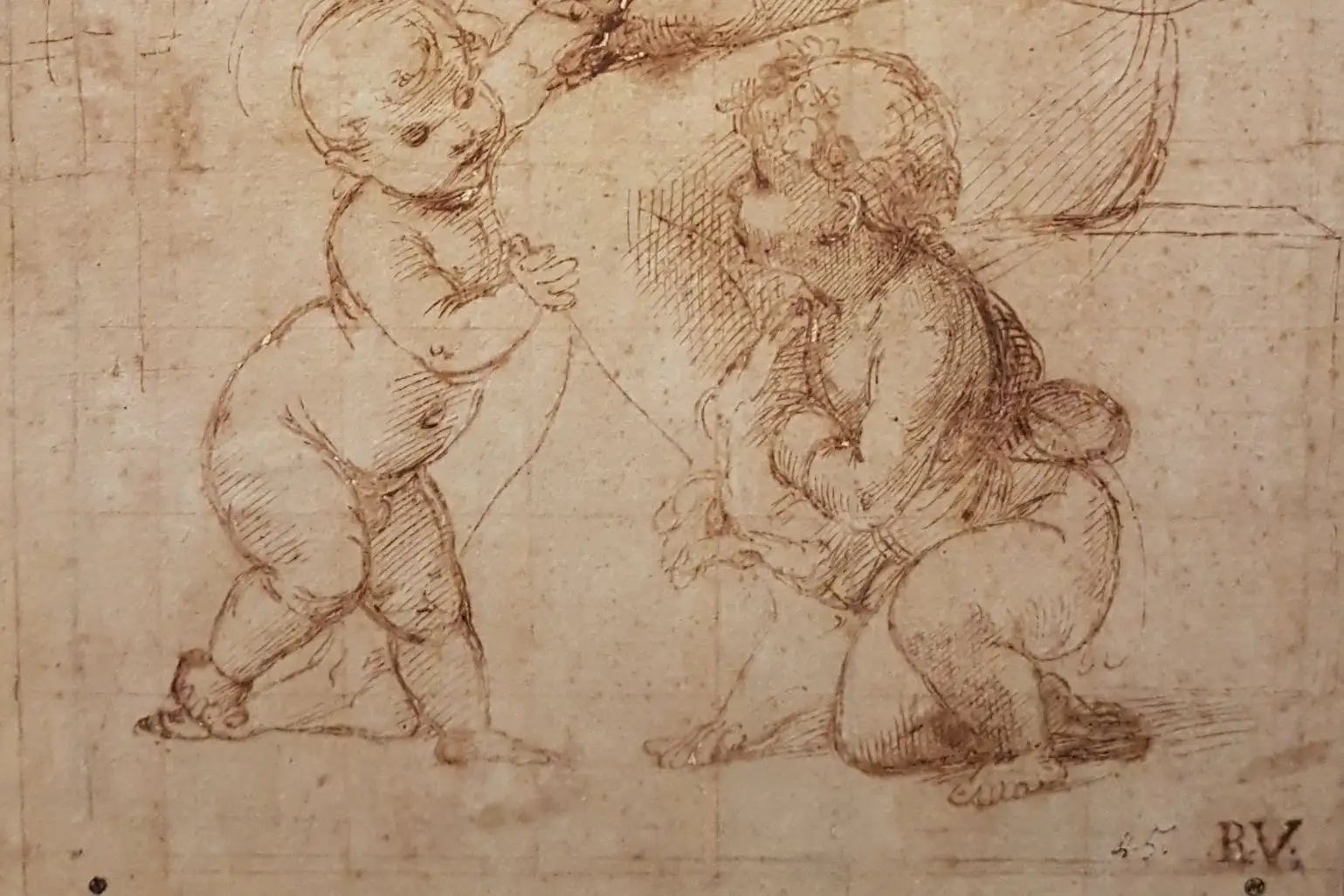 Cropped - Raphael - Study for La Belle Jardinière