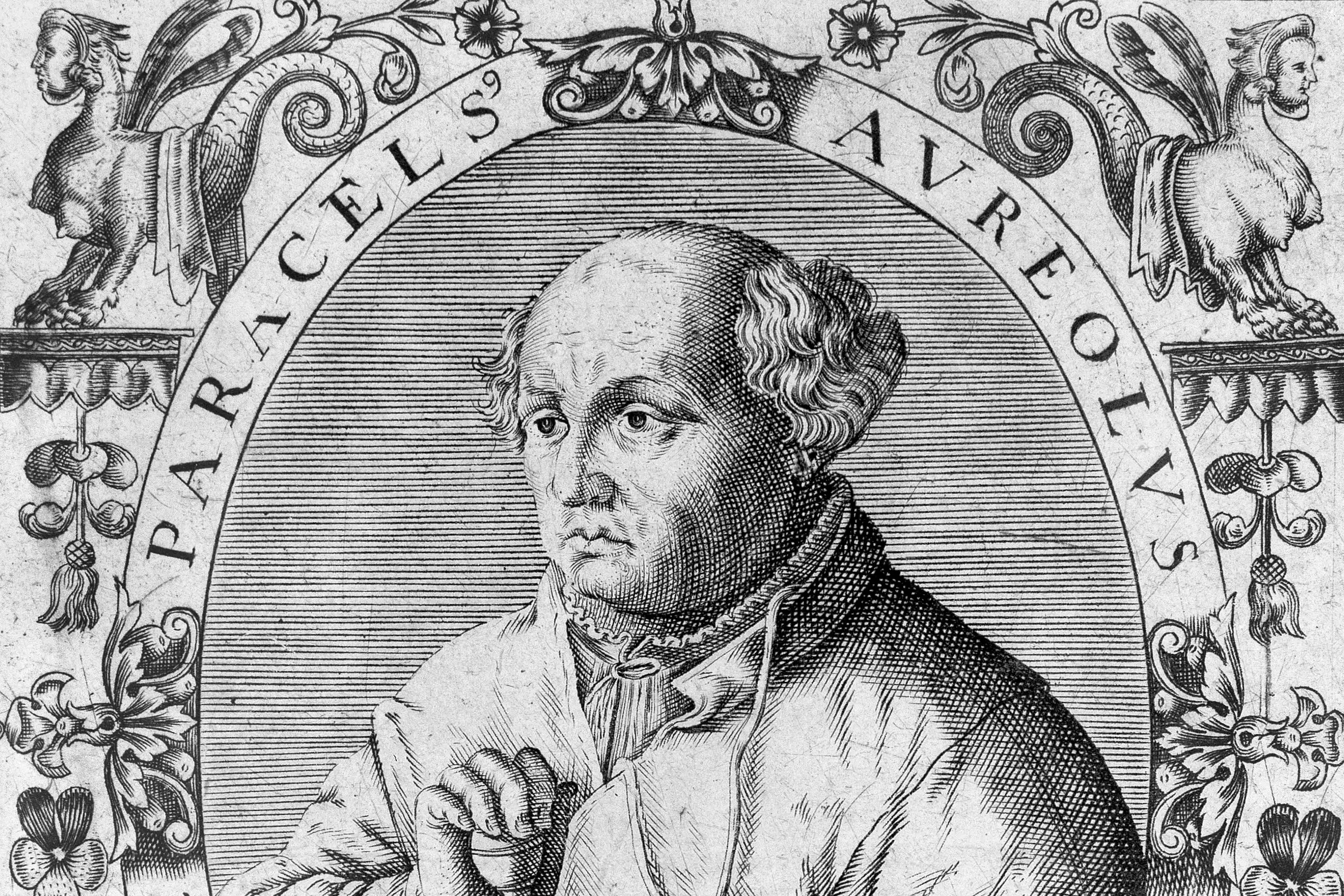 Cropped - Portrait of Paracelsus.