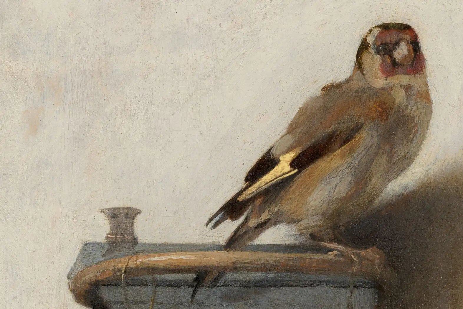 Cropped - Arabic: الحسُّون The Goldfinch