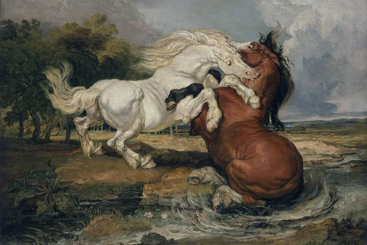 Fighting Horses