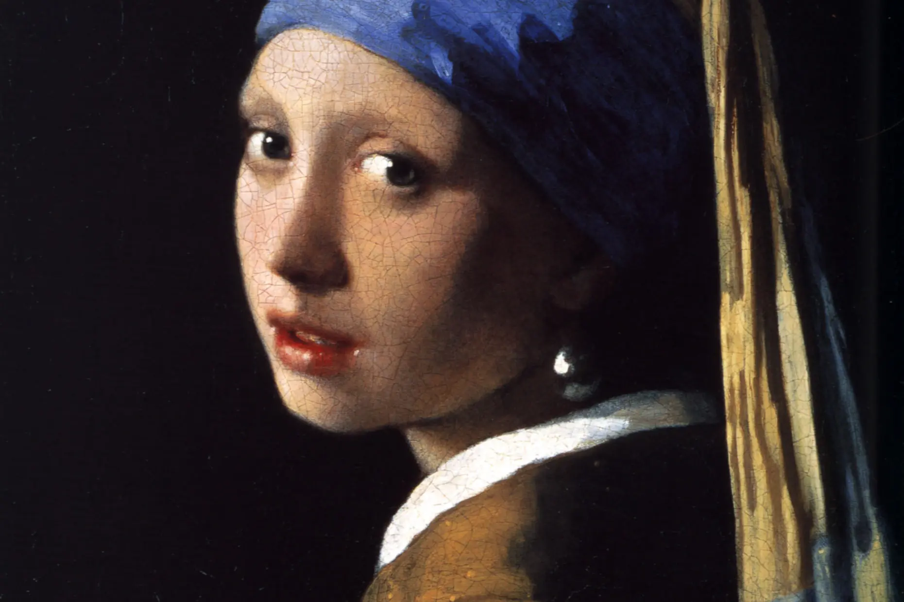 Het meisje met de parel ( Girl with a Pearl Earring )