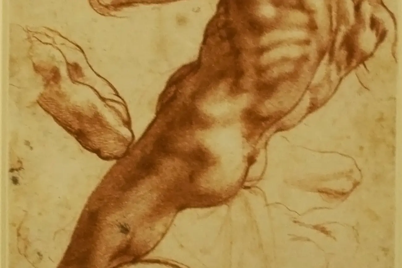 Study of an Ignudo