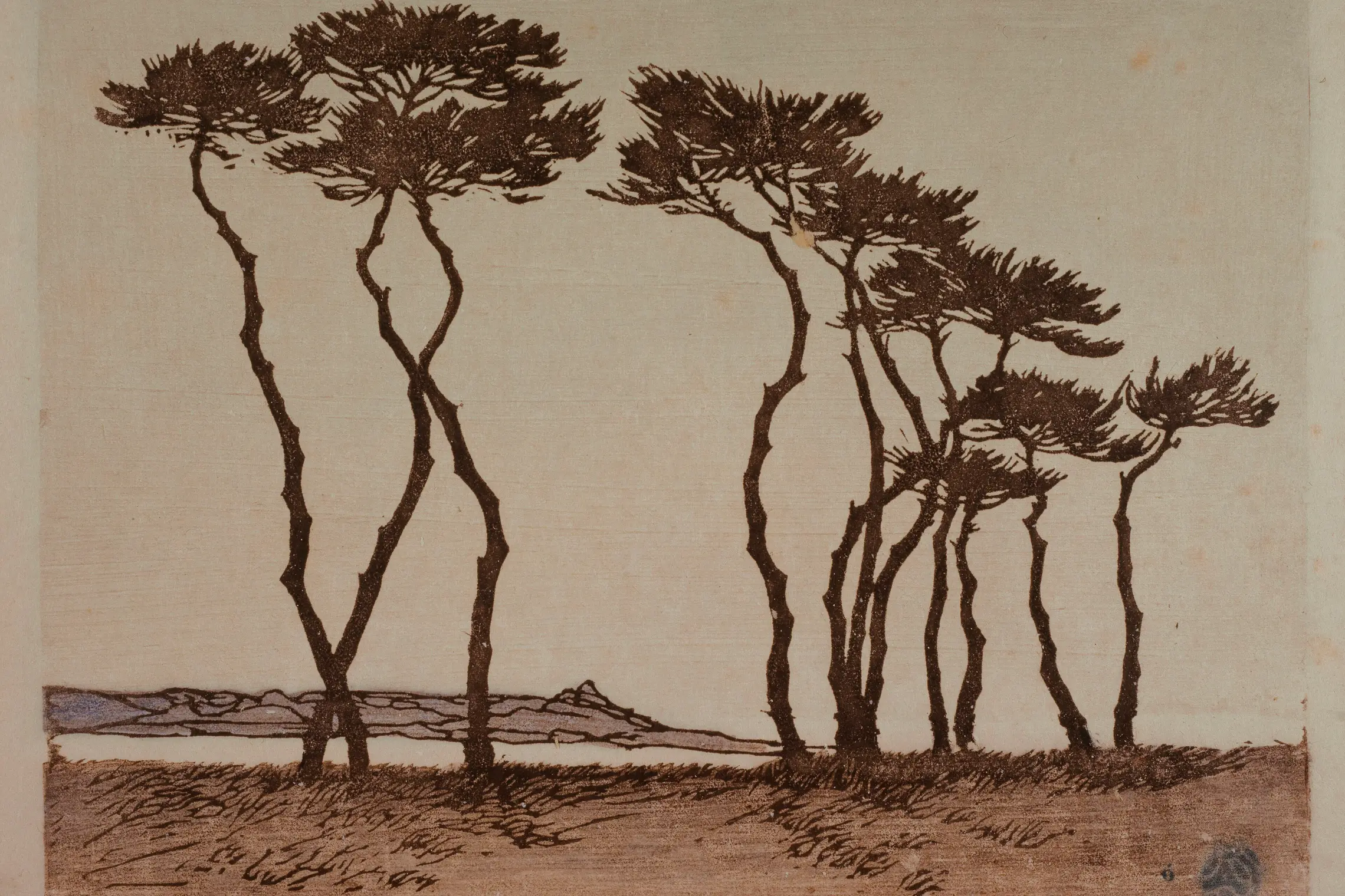 Les pins au bord de la mer, PPG597
