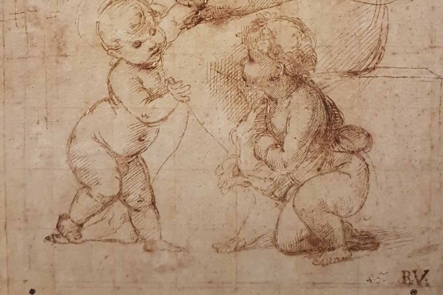 Cropped - Raphael - Study for La Belle Jardinière