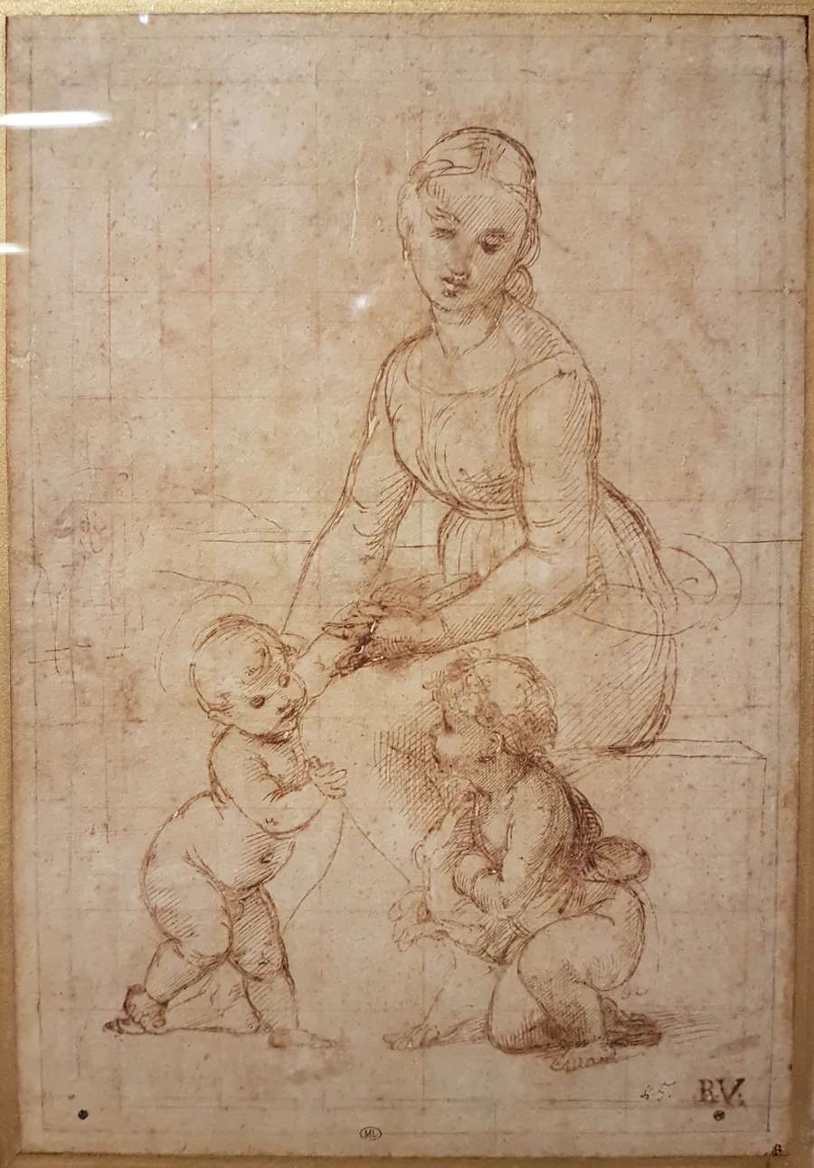 Raphael - Study for La Belle Jardinière