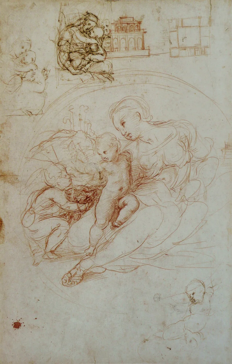 Study for the Madonna Alba
