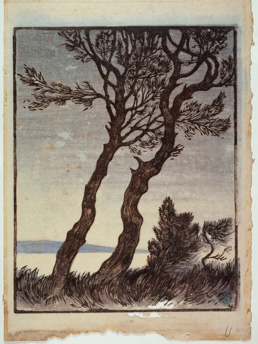 Les arbres au bord de la mer, PPG598
