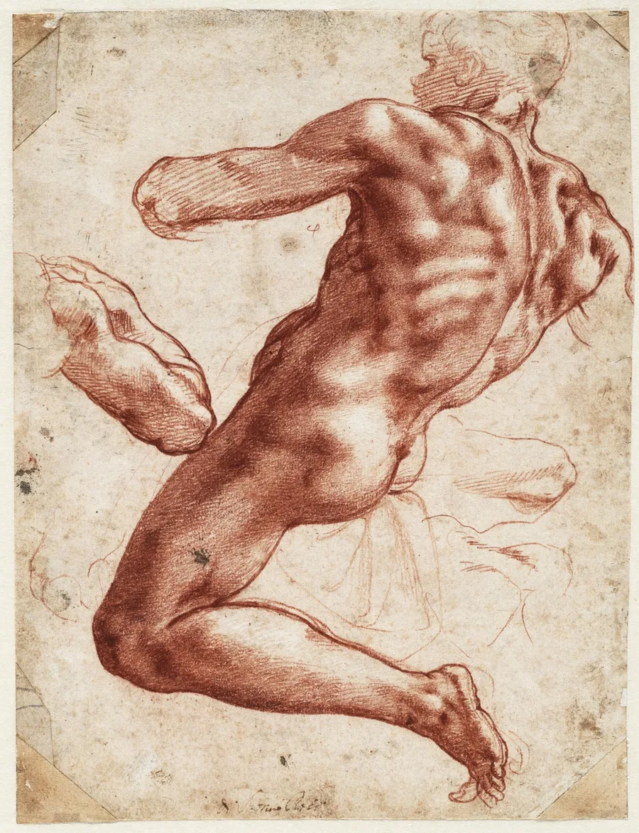 Michelangelo - Figure study for an Ignudo in the Sistine Chapel, A 027 recto