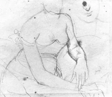 Study for a Portrait of Madame de Senonnes Ingres (b)