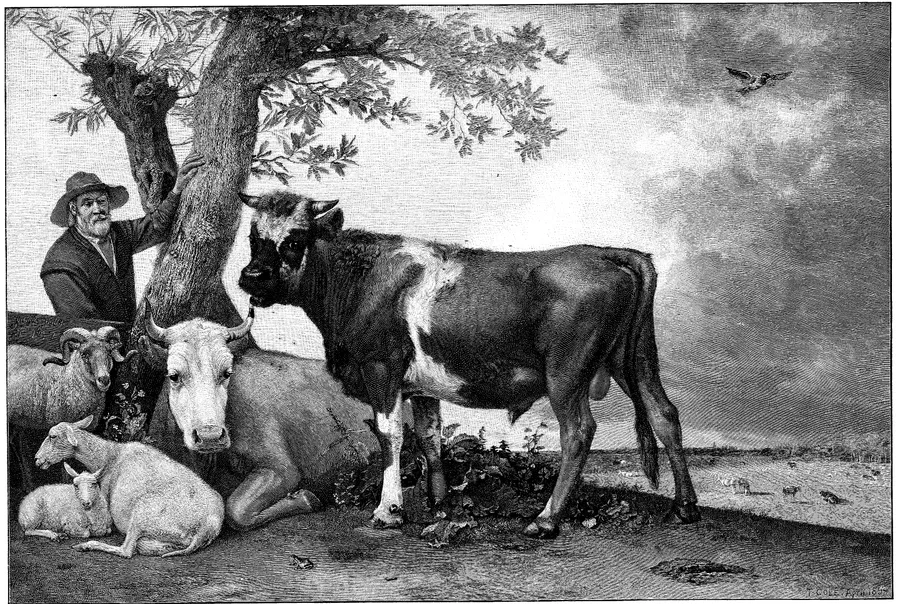 The Bull