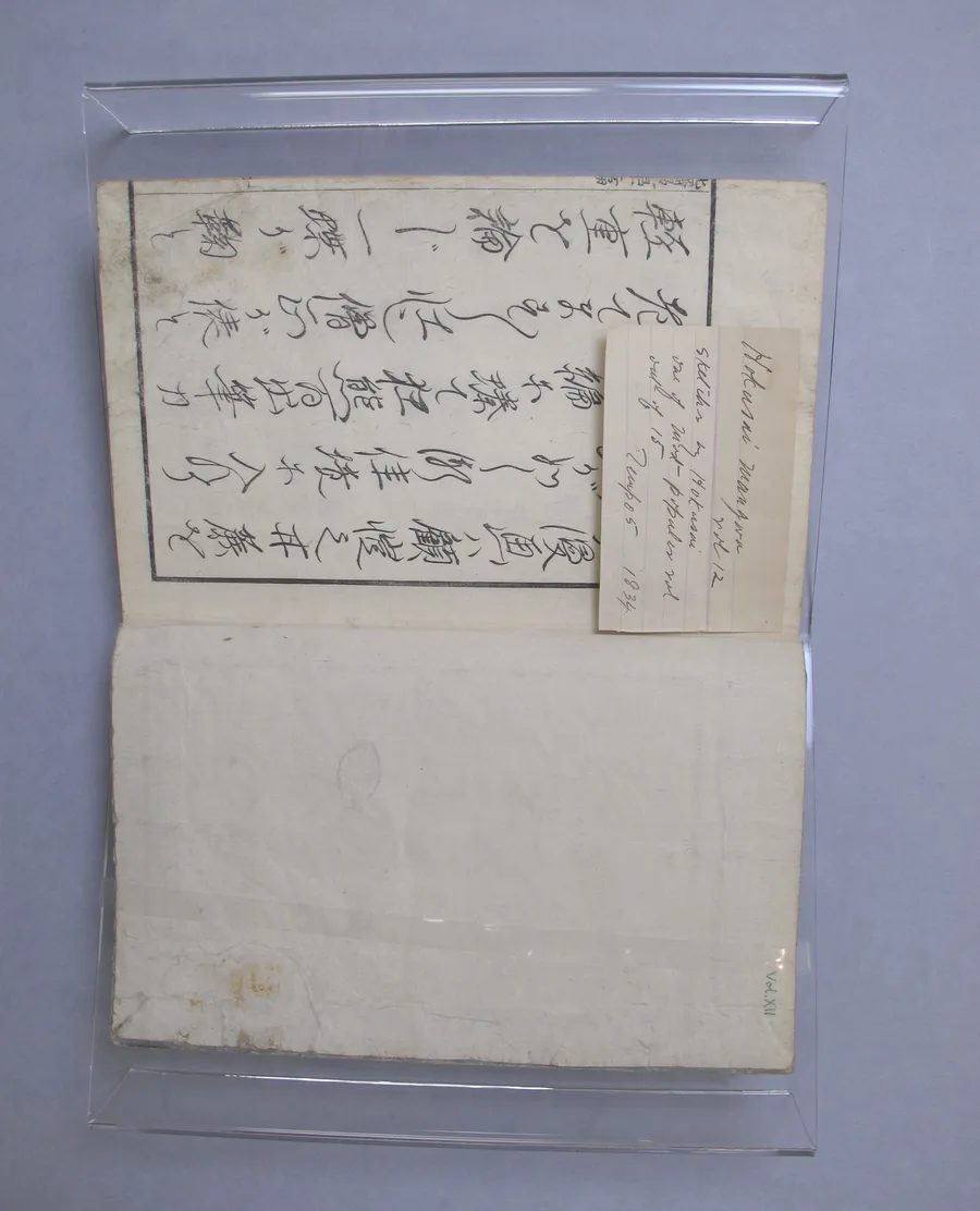 Random Sketches by Hokusai, Volume 12